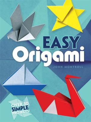 Book cover of Easy Origami