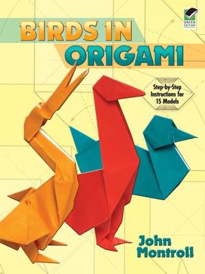 Cover of the book Birds in Origami by Herman Schneider, Nina Schneider