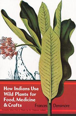 bigCover of the book How Indians Use Wild Plants for Food, Medicine & Crafts by 