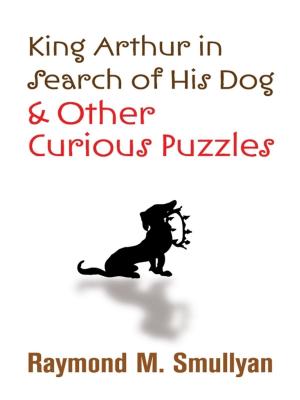 Cover of the book King Arthur in Search of His Dog and Other Curious Puzzles by 