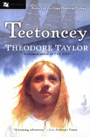 Cover of the book Teetoncey by Eileen Christelow