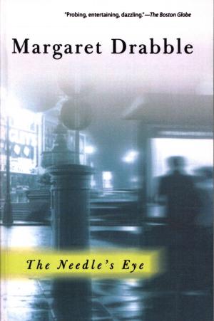 Cover of the book The Needle's Eye by Mary Downing Hahn