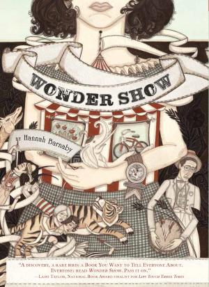 Cover of the book Wonder Show by Jean Ferris