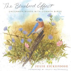 Cover of the book The Bluebird Effect by Joshua Wolf Shenk