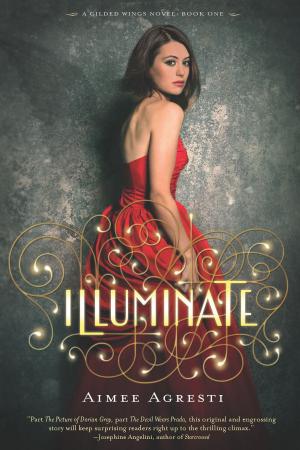 Cover of the book Illuminate by Cynthia Rylant