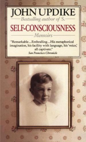 Book cover of Self-Consciousness