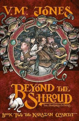 Cover of the book Beyond the Shroud by Wendy Higgins