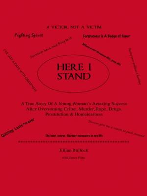 Cover of the book Here I Stand by Debbie Fox