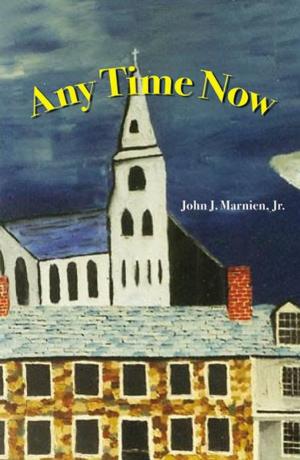 Cover of the book Any Time Now by Joseph Lamagna