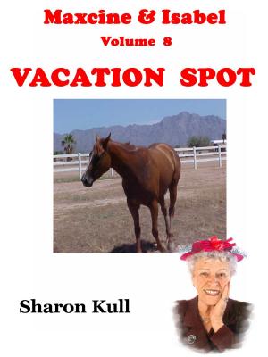 bigCover of the book Vacation Spot by 