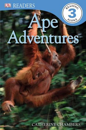 Book cover of DK Readers: Ape Adventures