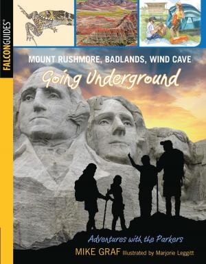 Cover of the book Mount Rushmore, Badlands, Wind Cave: Going Underground by Jim Bradley