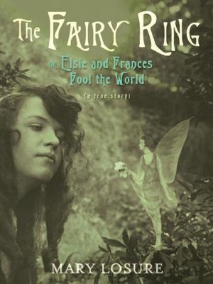 Cover of the book The Fairy Ring by Sarah Sullivan
