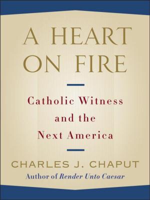 Cover of the book A Heart on Fire by Charles Murray