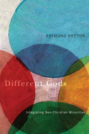 Cover of the book Different Gods by Mandy White