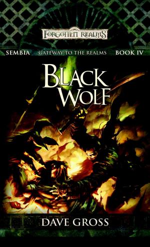Cover of the book Black Wolf by Courtney Cantrell