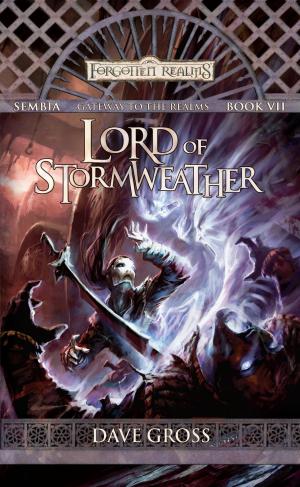 Cover of the book Lord of Stormweather by Ryan McClure