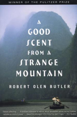 Book cover of A Good Scent from a Strange Mountain