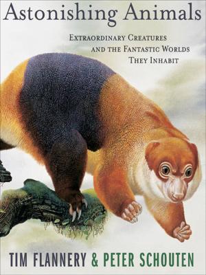 Book cover of Astonishing Animals