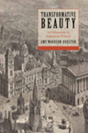 bigCover of the book Transformative Beauty by 