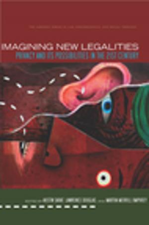 Cover of the book Imagining New Legalities by Geoffroy de Lagasnerie