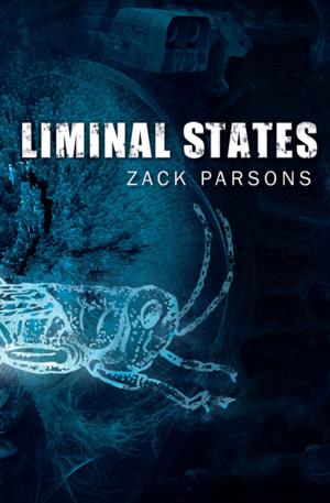 Cover of the book Liminal States by Lesley L. Smith