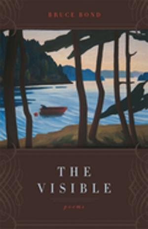 bigCover of the book The Visible by 