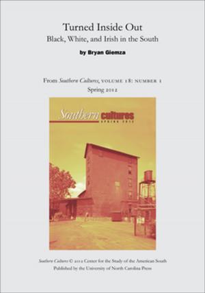 Cover of the book Turned Inside Out: Black, White, and Irish in the South by Sallie Ann Robinson