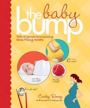 Cover of the book The Baby Bump by Sarah O'Leary Burningham