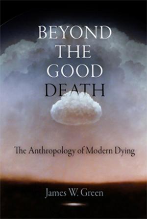 Cover of the book Beyond the Good Death by Carmen Nocentelli