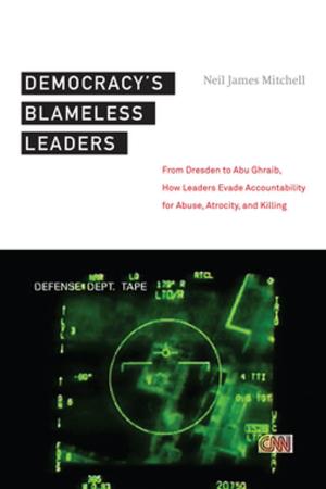 Cover of the book Democracy’s Blameless Leaders by Jane Juffer