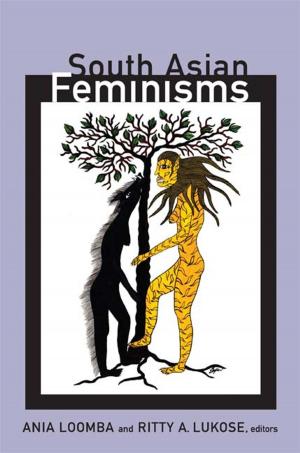 bigCover of the book South Asian Feminisms by 