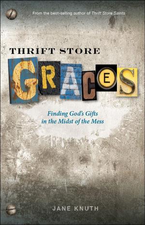 Cover of the book Thrift Store Graces by The Irish Jesuits