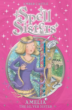 Book cover of Spell Sisters: Amelia the Silver Sister