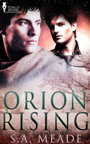 Cover of the book Orion Rising by HK Carlton