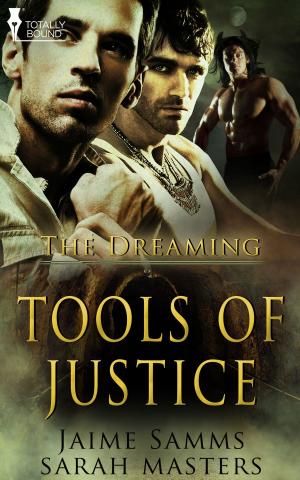 Cover of the book Tools of Justice by Renee Michaels