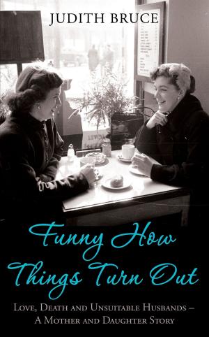 Cover of the book Funny How Things Turn Out by Holly Hepburn