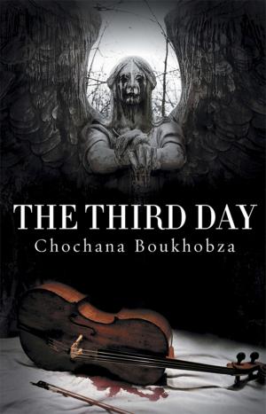 Cover of the book The Third Day by Robin Cross