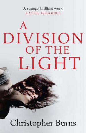 Cover of the book A Division of the Light by Corban Addison