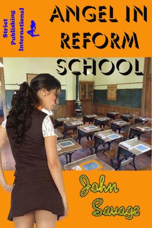 Cover of the book Angel in Reform School by Sean Brandywine