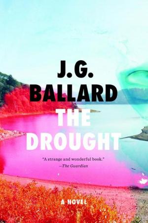 Cover of the book The Drought: A Novel by Richard Verry