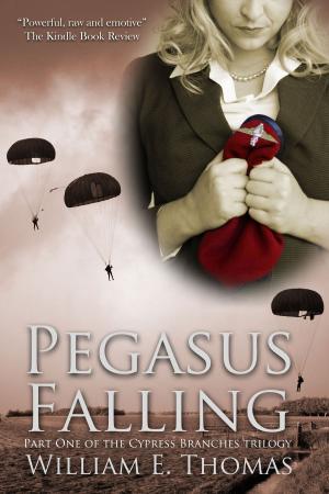 Cover of the book Pegasus Falling by Jo Goodman