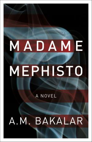 Cover of the book Madame Mephisto by JP Tate