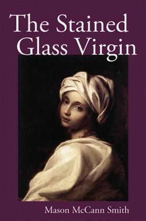 Book cover of The Stained Glass Virgin