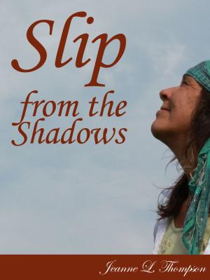 Cover of the book Slip From The Shadows by Veronica Knepp
