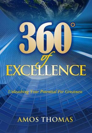Cover of the book 360 Degrees of Excellence by Rotimi Kehinde
