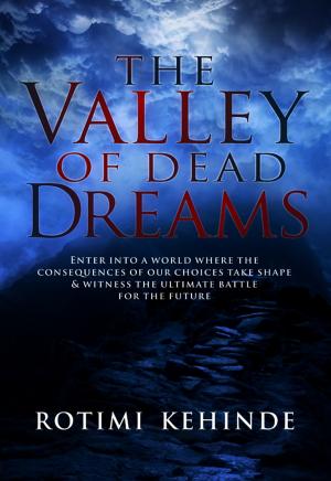 Cover of the book The Valley of Dead Dreams by Grace C. Ogor