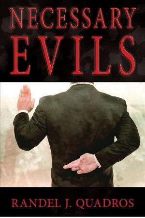 Cover of the book Necessary Evils by Leah Braemel