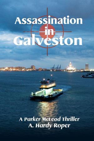 bigCover of the book Assassination in Galveston by 