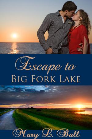Cover of the book Escape to Big Fork Lake by Gay N. Lewis